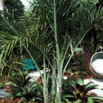 article image - 